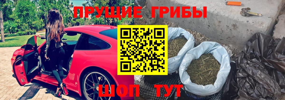 Галлюциногенные грибы мицелий Братск