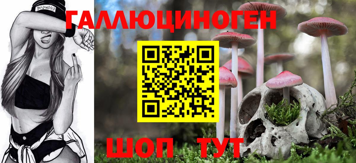 Братск  Галлюциногенные грибы Magic Shrooms  наркошоп  Вход с VPN 